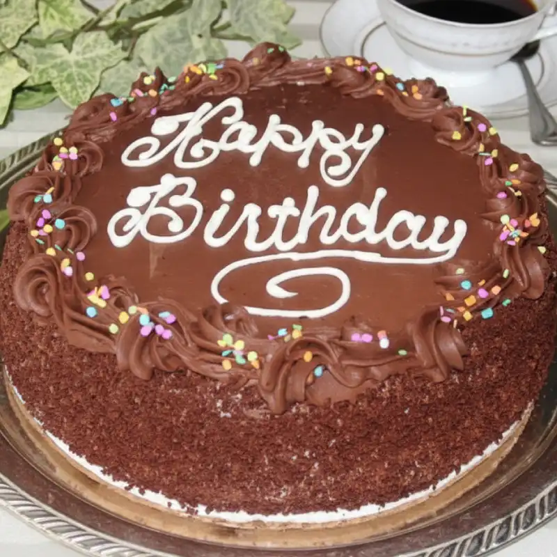 Chocolate Round Cake